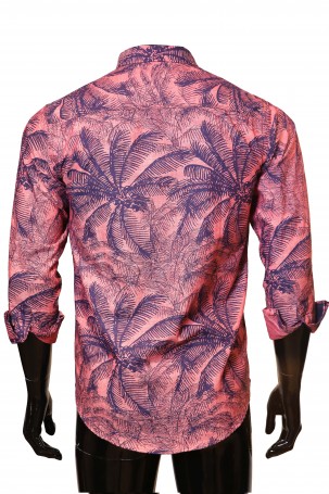 Cream With Green Orange