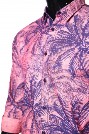 Cream With Green Orange